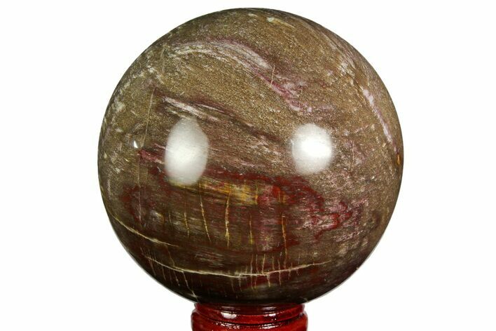 Colorful Petrified Wood Sphere - Madagascar #169138
